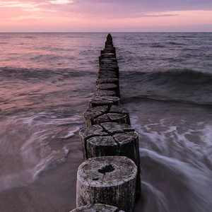 欧美性猛交xxxxbbbb
